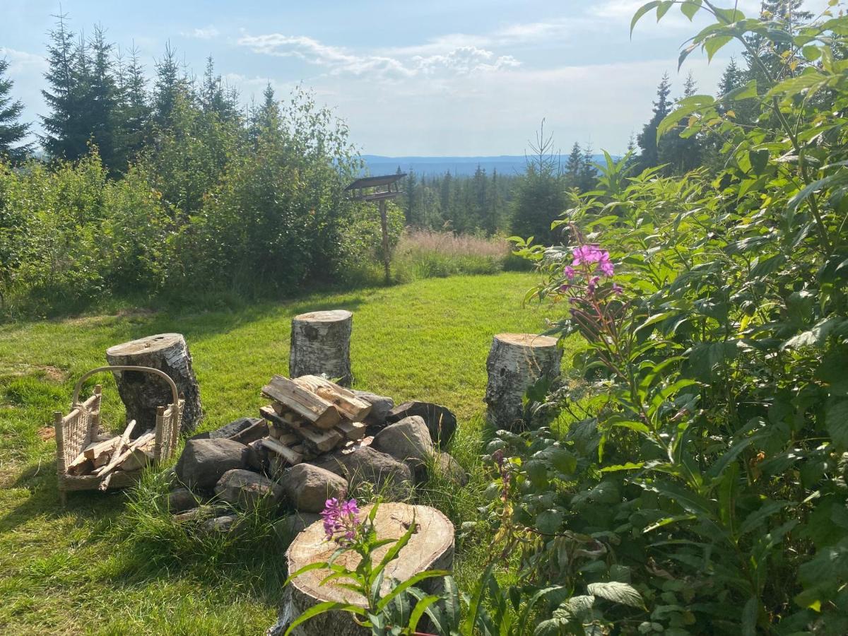 Cozy Forest Cabin With Amazing Mountain View Турсбю Экстерьер фото