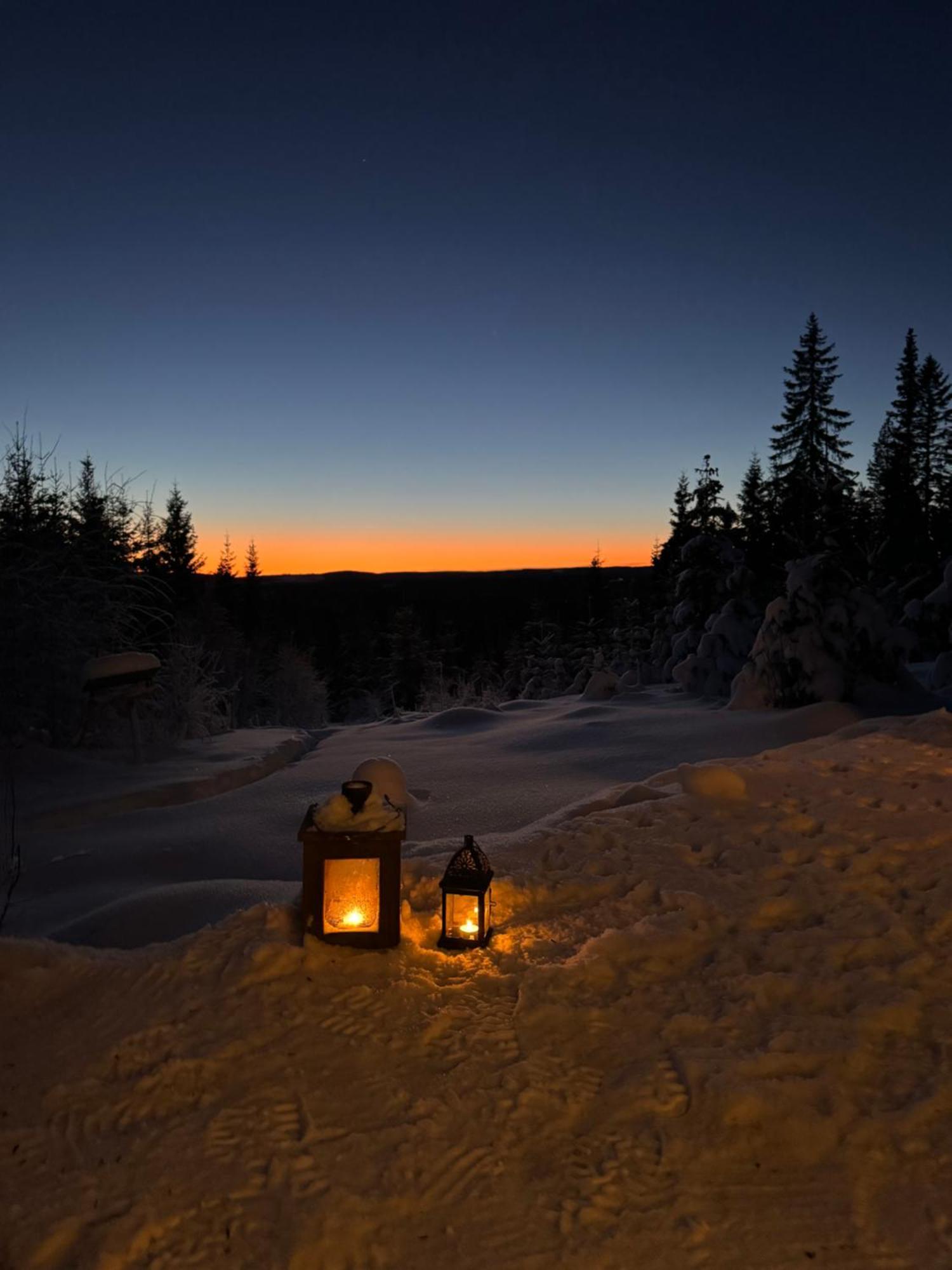 Cozy Forest Cabin With Amazing Mountain View Турсбю Экстерьер фото