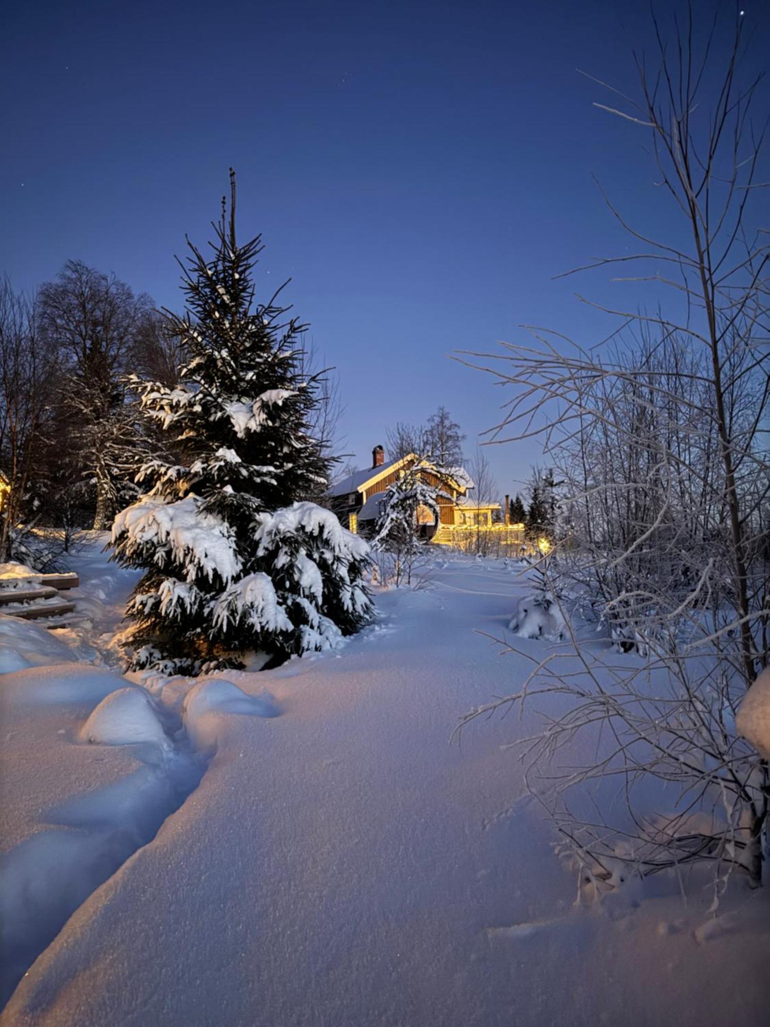 Cozy Forest Cabin With Amazing Mountain View Турсбю Экстерьер фото